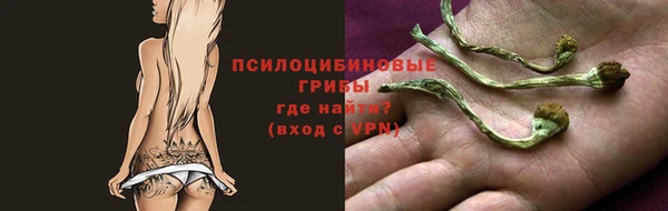 дмт Алексеевка