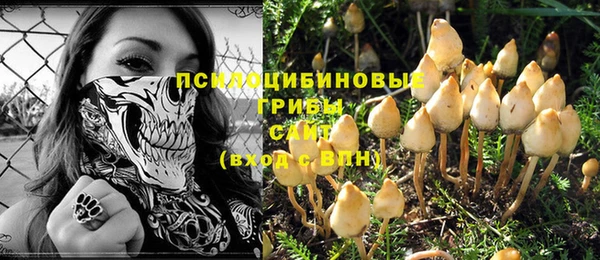 PSILOCYBIN Дмитров